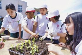 上富田／「花が咲くの楽しみ」／児童や高校生が苗植え