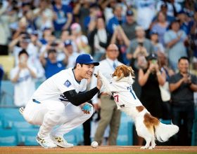 大谷翔平、挑戦＆結実の全軌跡を一冊に　『ロサンゼルス・タイムズ』公式・独占本が12・24発売、未公開写真＆エピソード満載