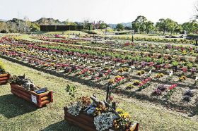 大会の主会場となる新庄総合公園（和歌山県田辺市たきない町で）