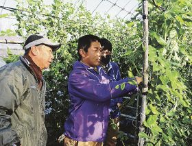 農業や加工　現場で実習／南部高　食と農園科２年生