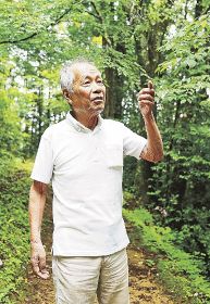 わたしの熊野　世界遺産２０周年（１）／県世界遺産センター顧問　辻林　浩（つじばやし　ひろし）さん（７９）／古道は生きている