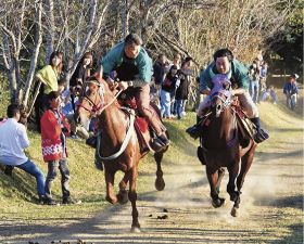 馬、華やかに勇ましく／芳養八幡神社の例大祭／田辺　２日宵宮　３日本祭