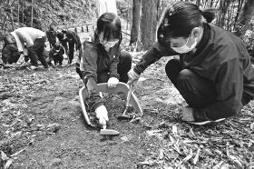 「長尾坂」で道普請／田辺高の生徒