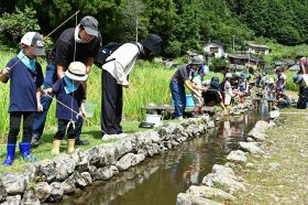 アメリカザリガニを釣る参加者（和歌山県田辺市本宮町皆地で）