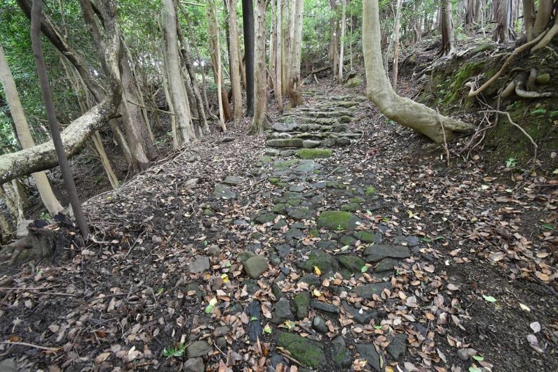 世界遺産に登録されている熊野古道・大辺路の「新田平見道」