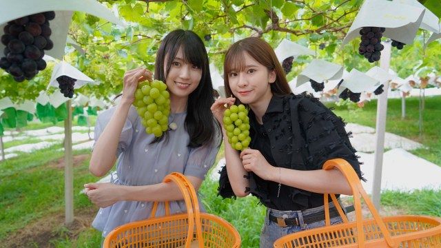 『乃木坂、逃避行。』に出演する賀喜遥香＆菅原咲月（C）乃木坂46 LLC