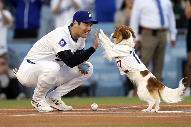 大谷翔平とデコピン（写真：AP／アフロ）