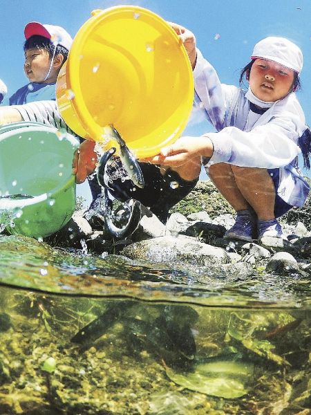 バケツを使って稚アユを放流する明神小学校の児童（和歌山県古座川町一雨で）