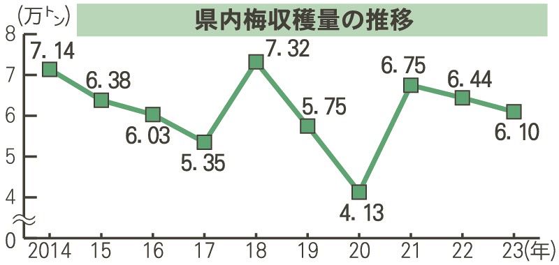 和歌山県内梅収穫量