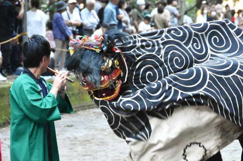 獅子舞の激しい動きに盛り上がる