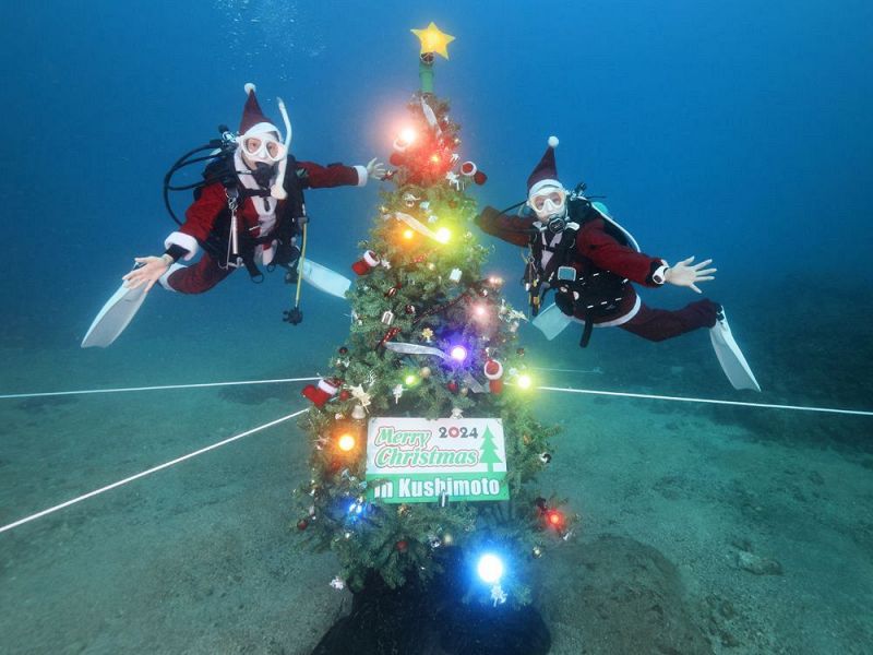 海底に設置されたクリスマスツリー（２１日、和歌山県串本町潮岬沖で）＝水中写真家、戸村裕行さん提供