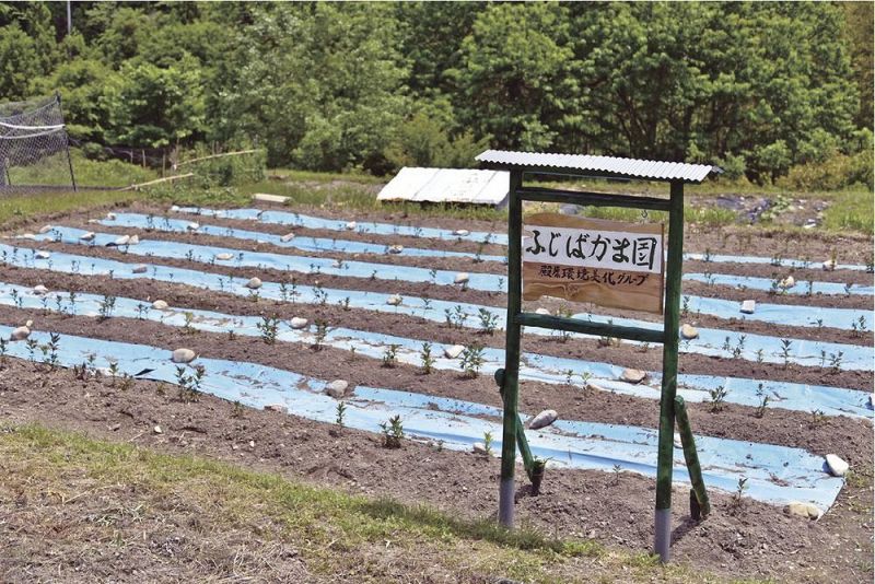 殿原の住民有志が整備した「ふじばかま園」（和歌山県田辺市龍神村殿原で）