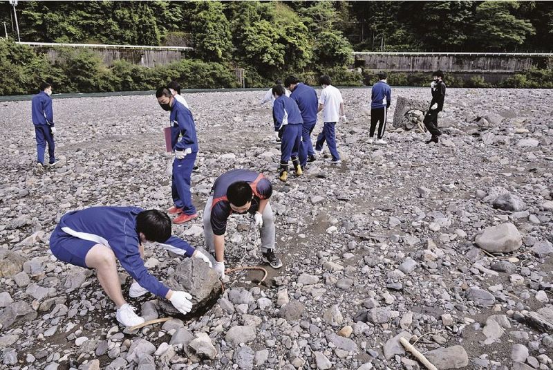 日高川の河原で清掃活動をする南部高校龍神分校の生徒（田辺市龍神村安井で）