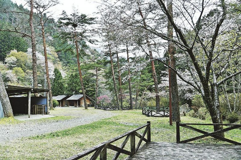 森林公園丹生ヤマセミの郷のキャンプ場（和歌山県田辺市龍神村丹生ノ川で）