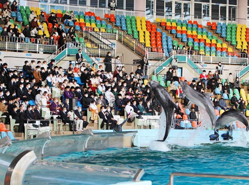 サプライズのイルカショーには参加者から歓声が上がった（４日、和歌山県白浜町のアドベンチャーワールドで）