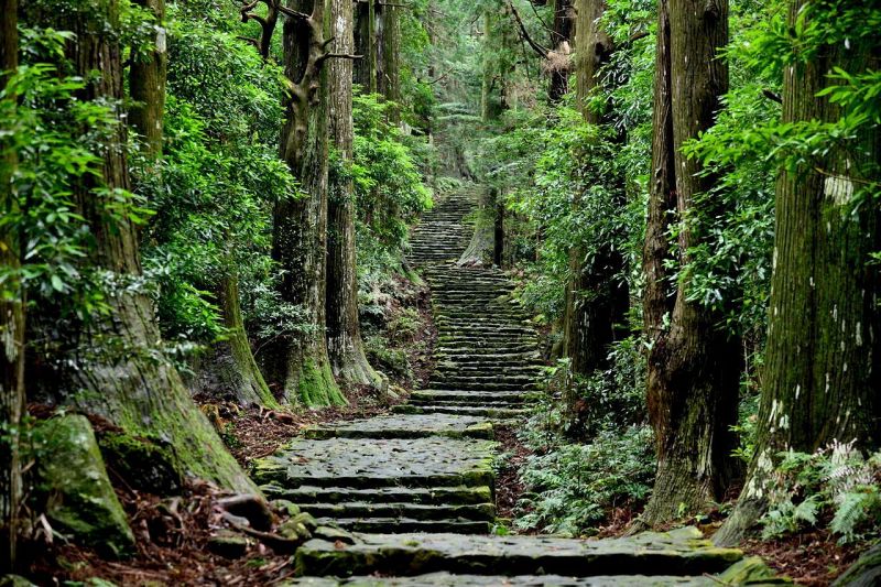 美しい石畳が続く熊野古道「大門坂」（和歌山県那智勝浦町）