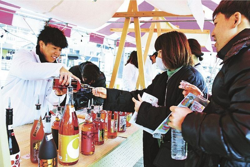 ずらりと並んだ梅酒の飲み比べを楽しむ来場者（１８日、和歌山県田辺市湊で）