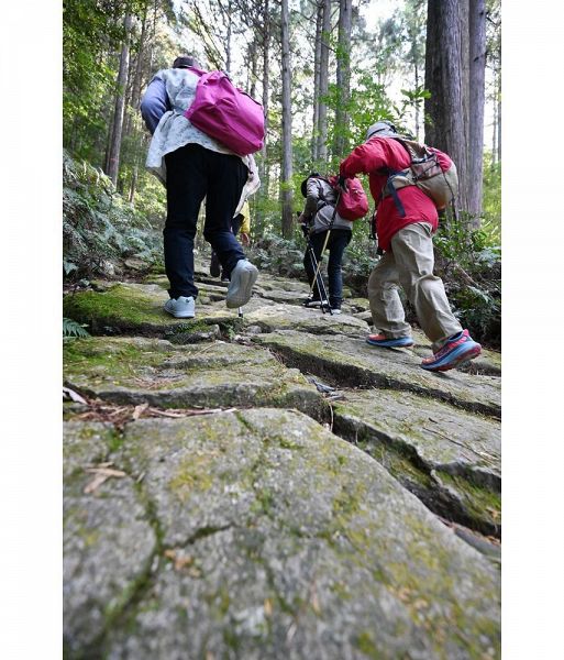 石畳を一歩一歩踏み締めながら歩く参加者（三重県紀北町で）