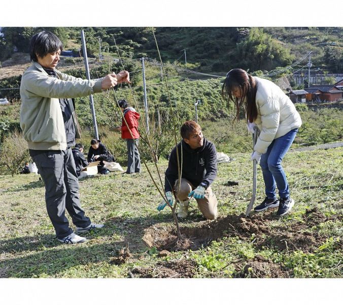 岡本和宜さん（中央）の指導で梅の苗木を植える「たなコト」参加者（右）＝和歌山県田辺市上芳養で