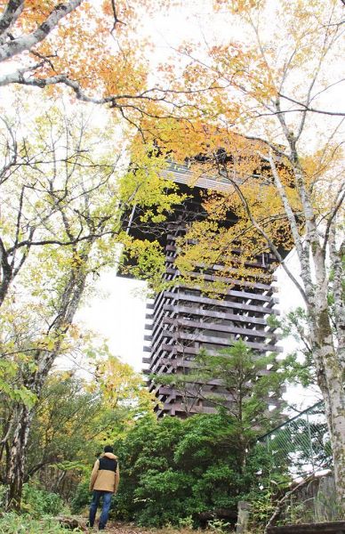 紅葉の時季を迎えた道の駅ごまさんスカイタワー（６日、和歌山県田辺市龍神村龍神で）