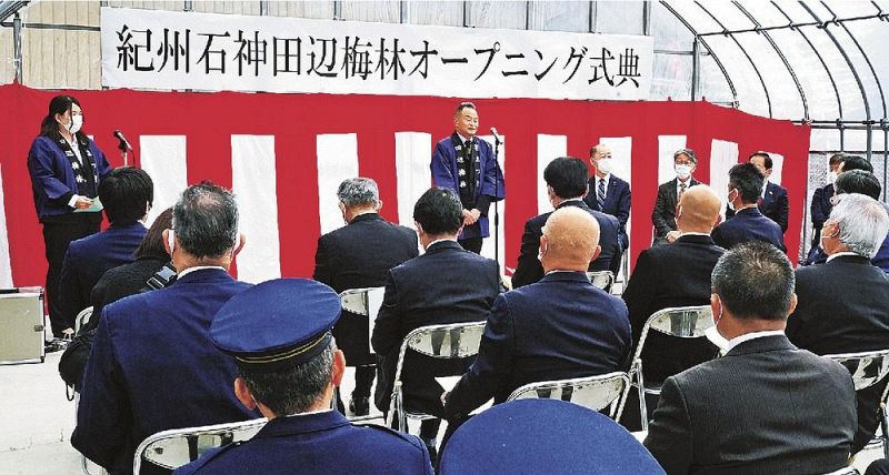 関係者を招いて開いた紀州石神田辺梅林オープニング式典（１日、和歌山県田辺市上芳養で）