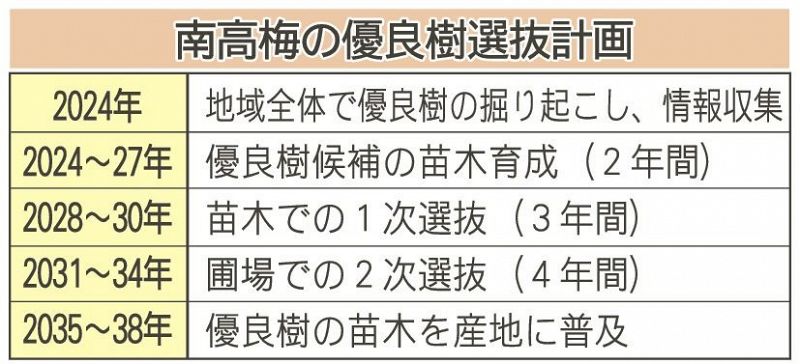 南高梅の優良樹選抜計画