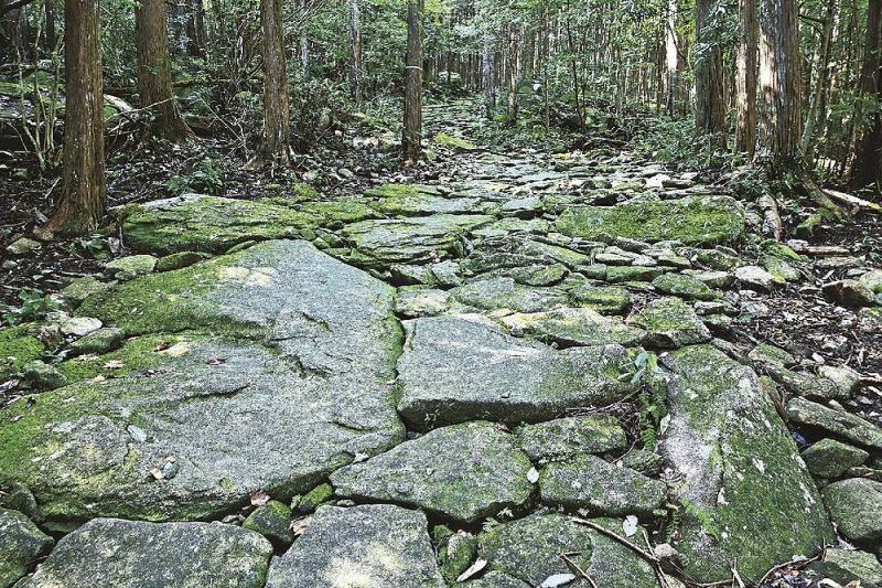 重厚な石畳が美しい馬越峠。湿気を帯びた石畳は滑りやすい（三重県紀北町で）