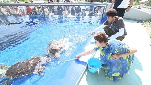 5日放送『ごぶごぶ』に出演する浜田雅功、平愛梨（C）MBS