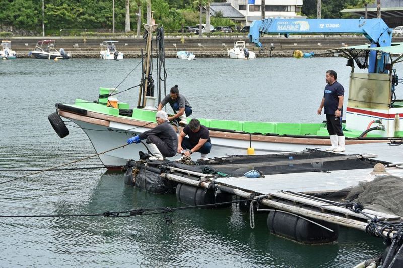 台風に備えていけすを固定する近畿大学水産研究所の関係者（３０日、和歌山県白浜町で）