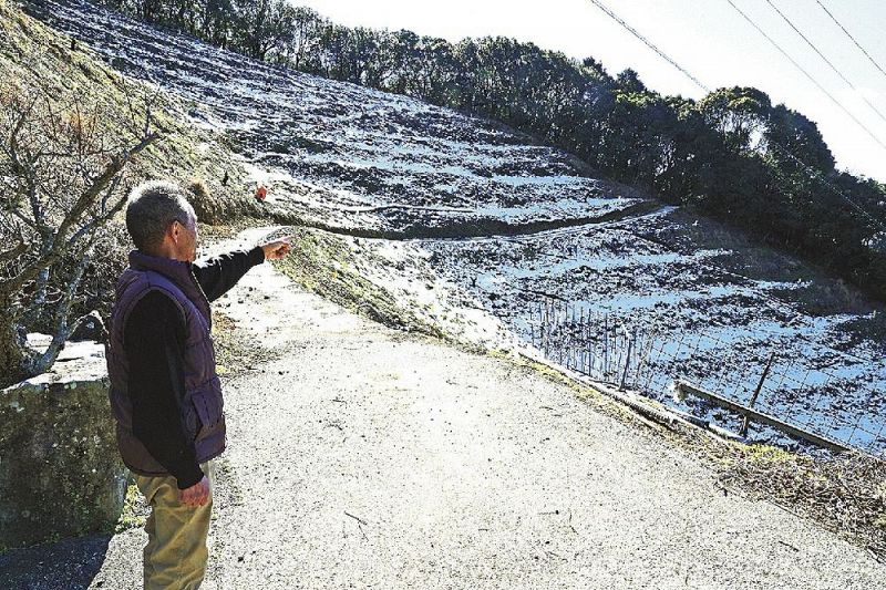 パイロット園につながる新たなウオークコースの入り口付近（和歌山県田辺市上芳養で）