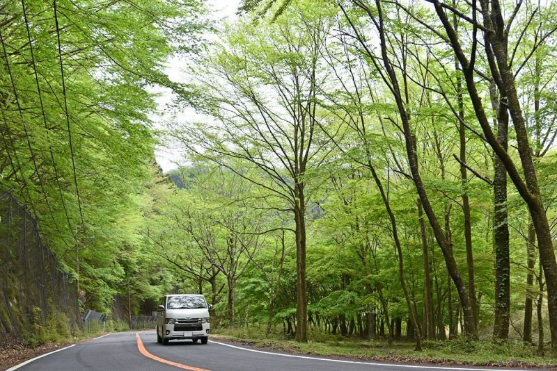 新緑の中でドライブを楽しめる高野龍神スカイライン（２９日、和歌山県田辺市龍神村龍神で）