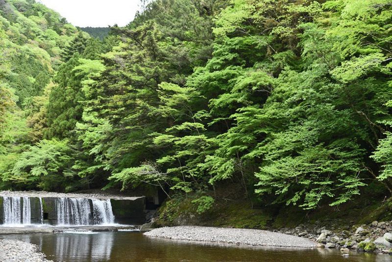 キャンプ施設「奥・小又川バンガロー」の近くを流れる清流（和歌山県田辺市龍神村小又川で）